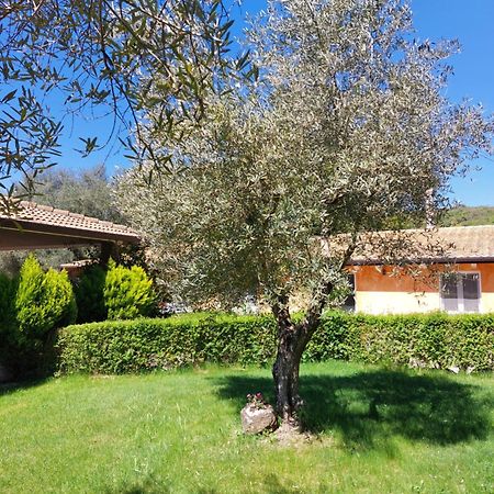 Casa Vacanza Centro Sardegna Sorgono Zewnętrze zdjęcie