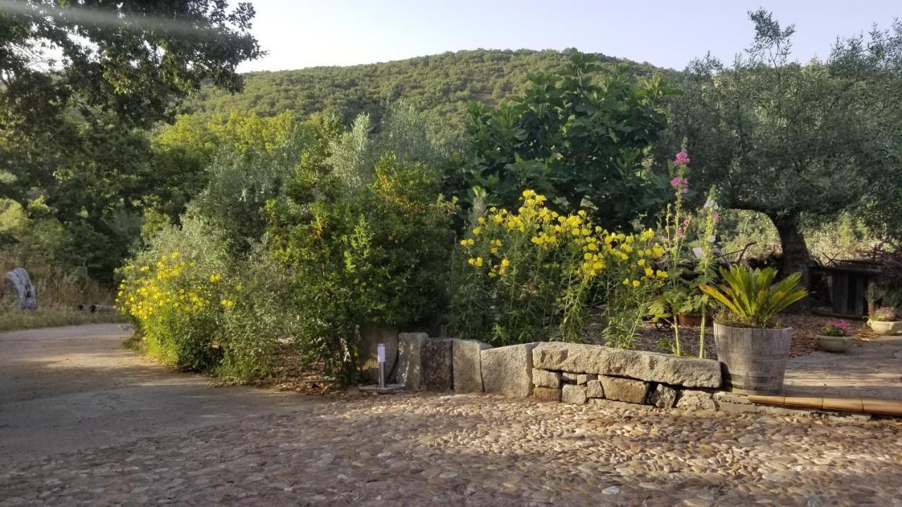 Casa Vacanza Centro Sardegna Sorgono Zewnętrze zdjęcie