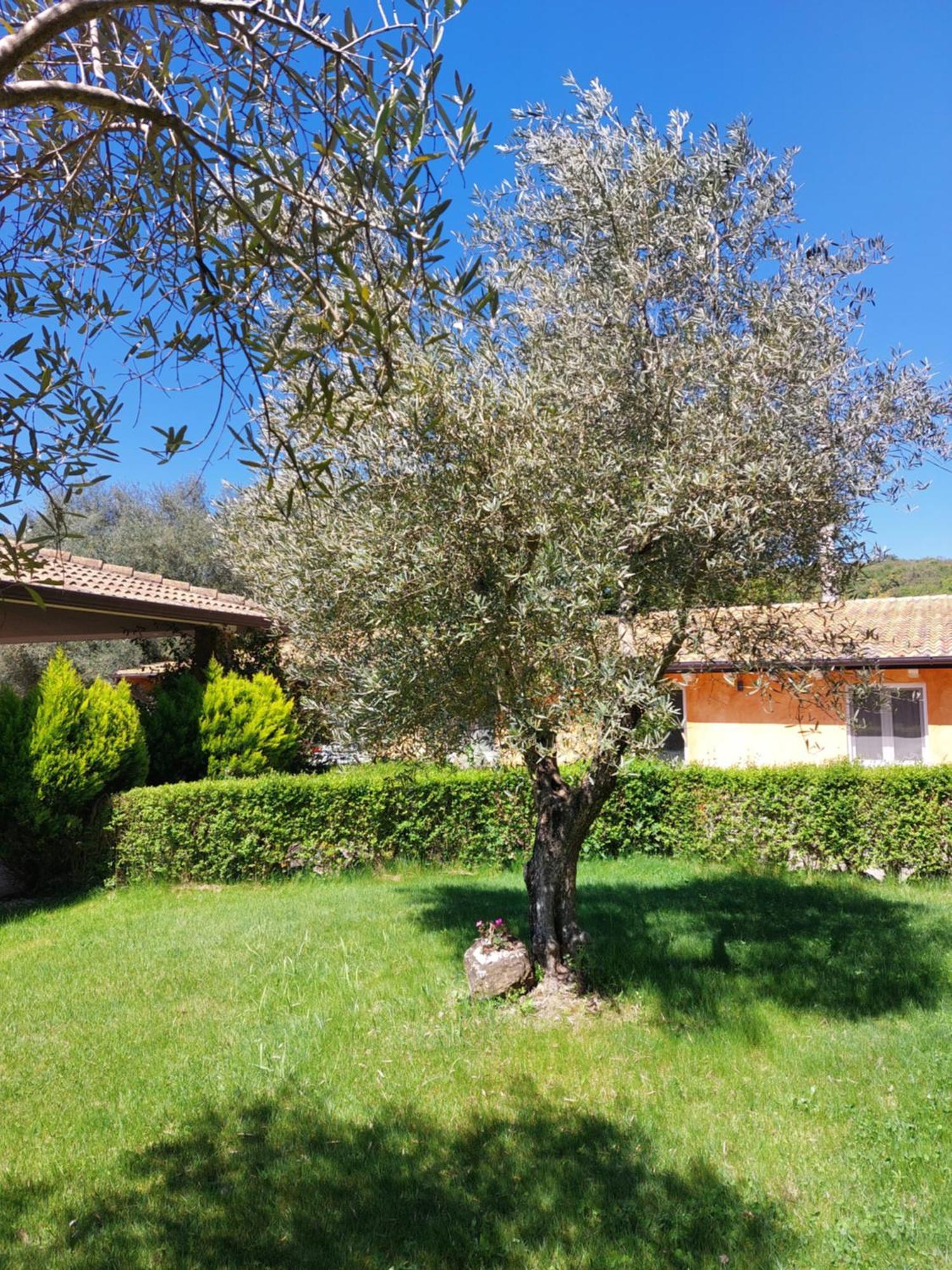 Casa Vacanza Centro Sardegna Sorgono Zewnętrze zdjęcie