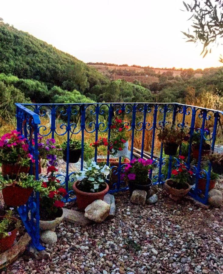 Casa Vacanza Centro Sardegna Sorgono Zewnętrze zdjęcie